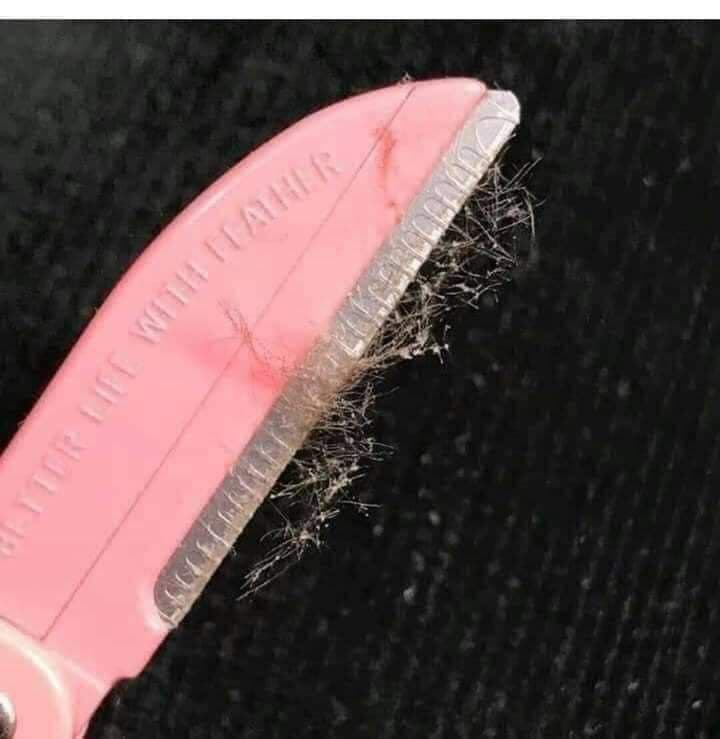 شفرات فلامنجو