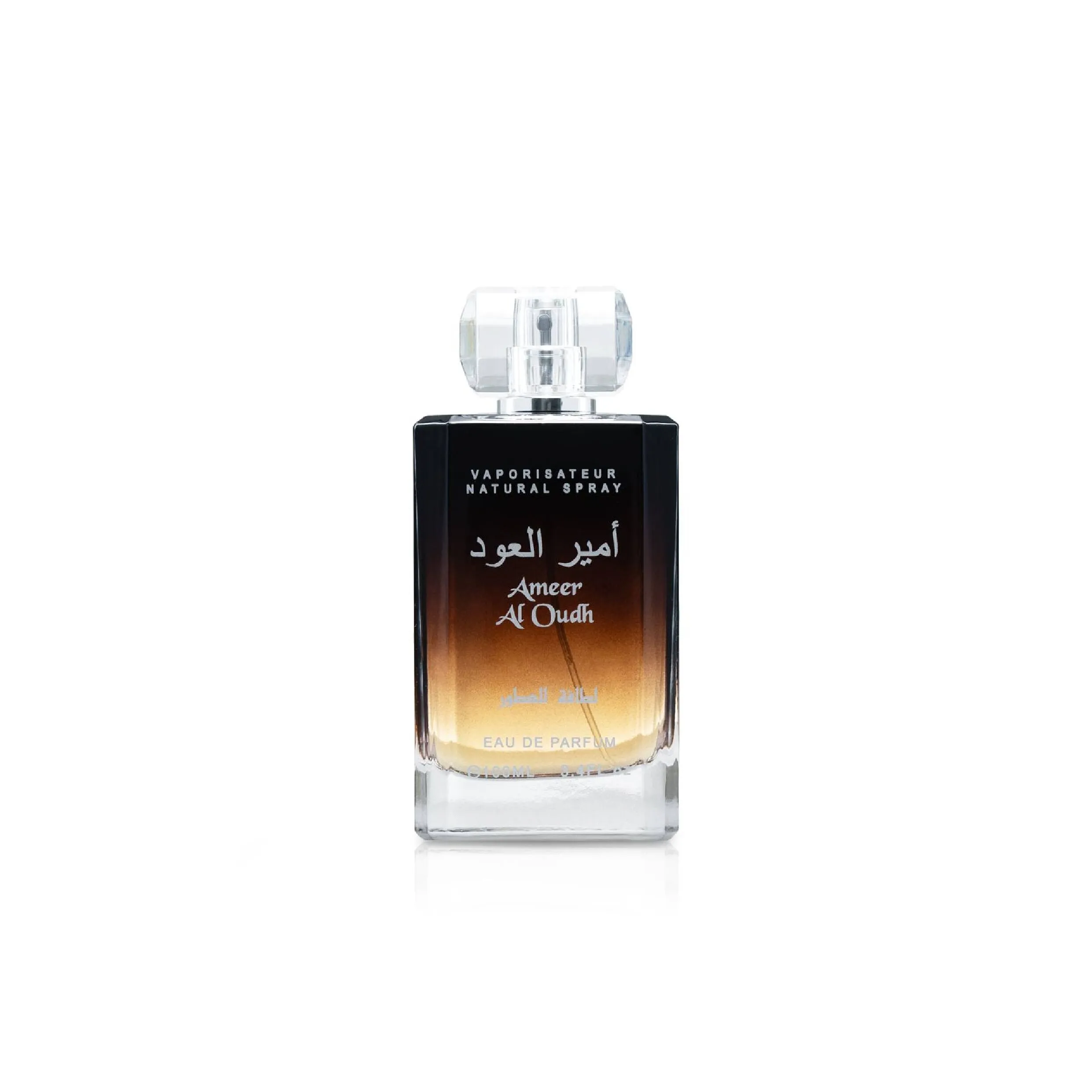 أمير العود - صورة 1